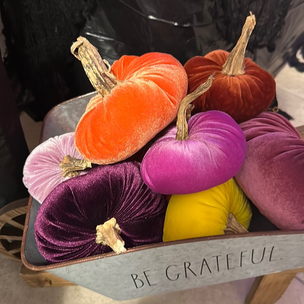 Velvet Pumpkins.